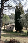J-P-Grapperon  (4)
